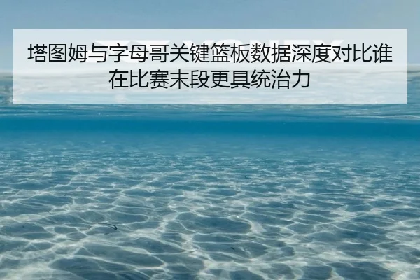 塔图姆与字母哥关键篮板数据深度对比谁在比赛末段更具统治力